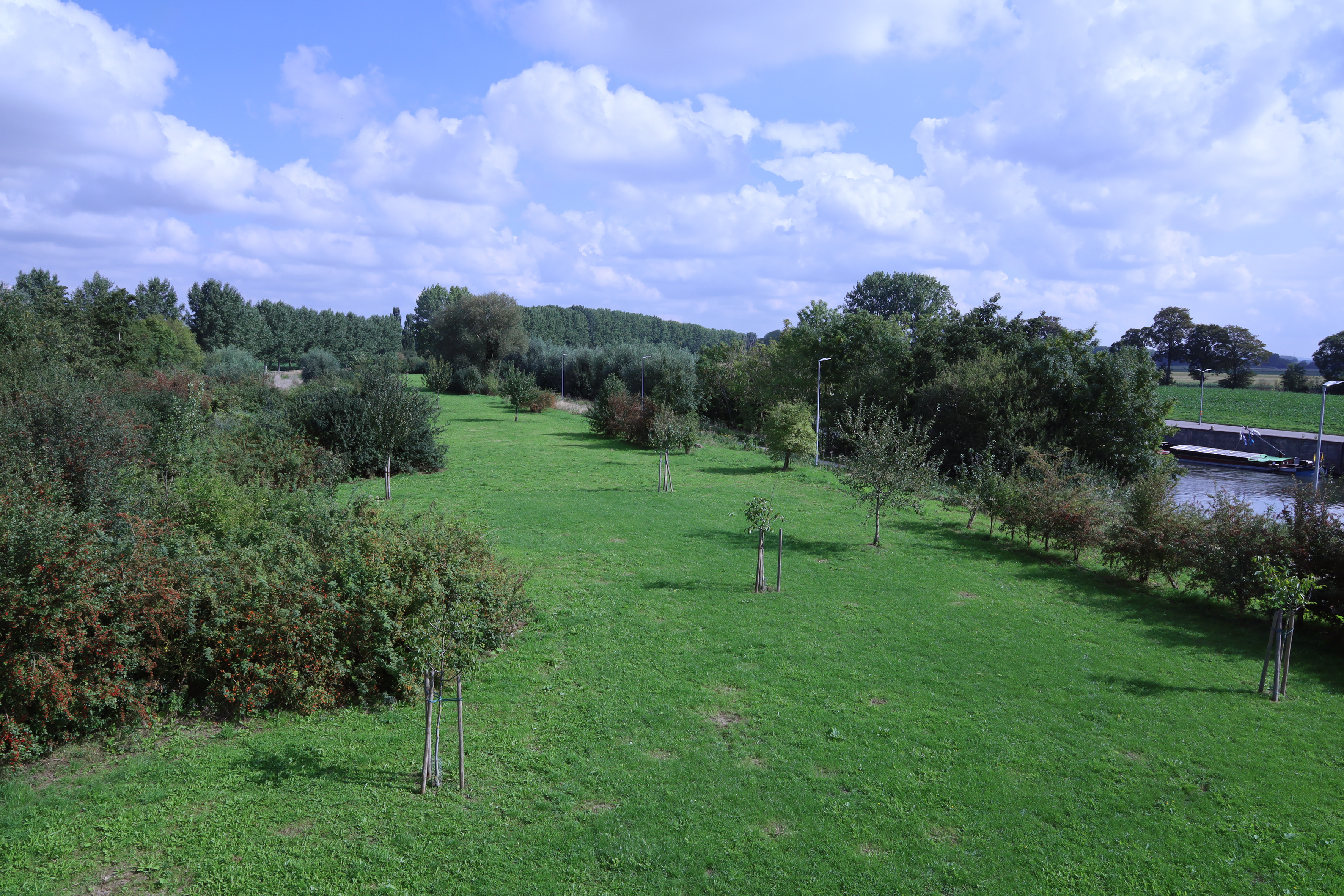 Groene omgeving